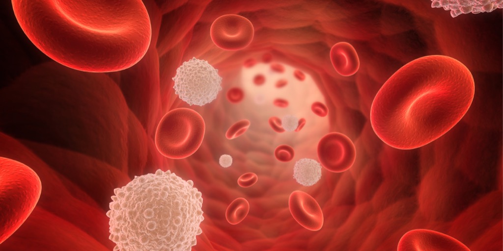 Platelet Rich Plasma Therapy
