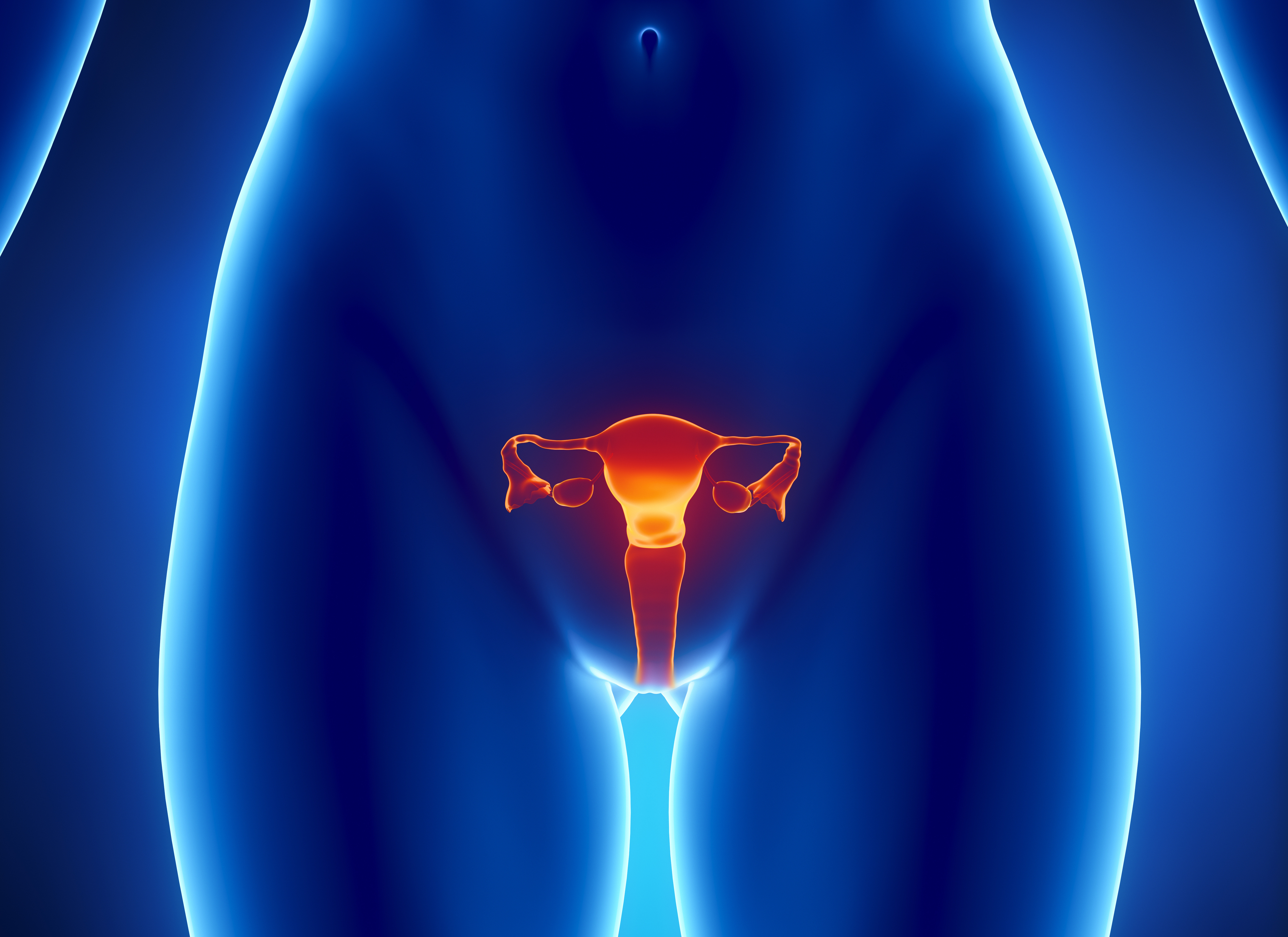 Vaginal Rejuvenation
